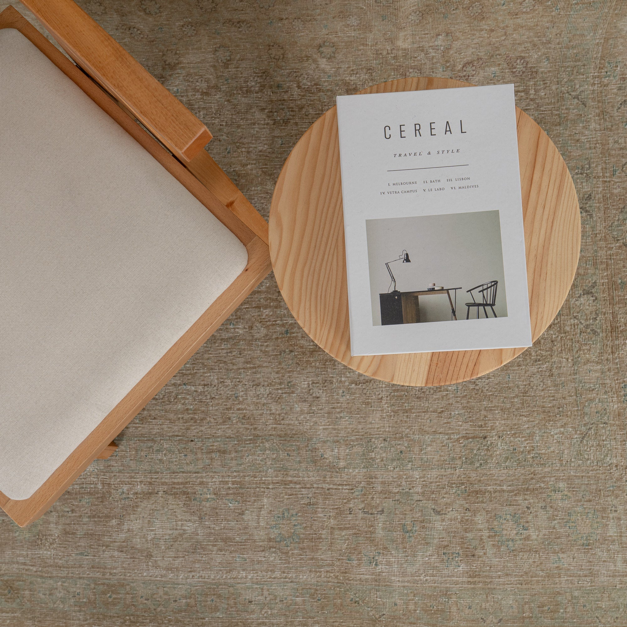 Faelina - Turkish Rug, Vintage Charm for Modern Spaces