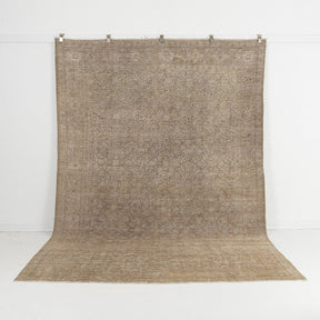 beige vintage 7x11 area rug - perfect for the living room, bedroom, office, entryway, kitchen