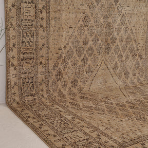 Beige and Brown Area Wool Rug