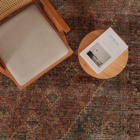 Antiquewashed Orange Area Rug