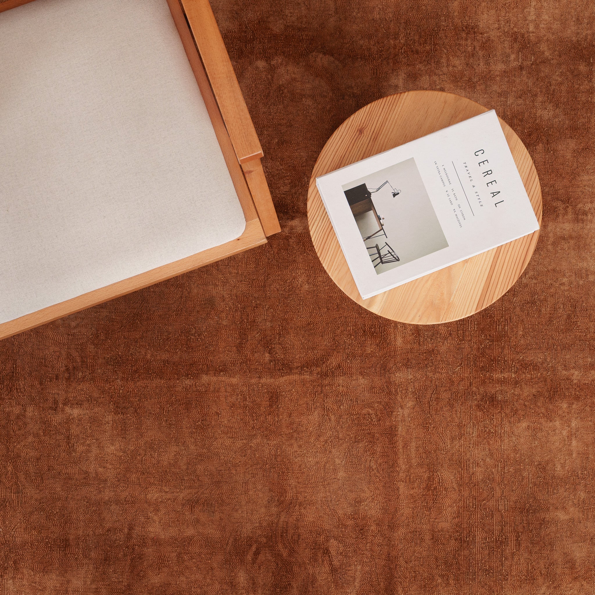 Overdyed Brown Area Rug