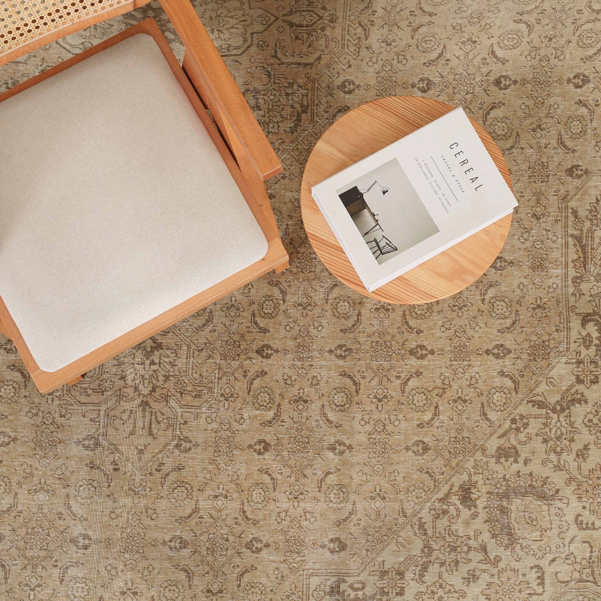 Antiquewashed Beige Area Rug