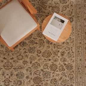 Antiquewashed Beige Area Rug