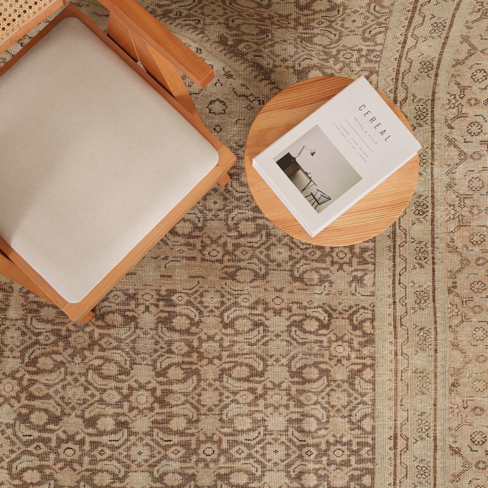 Antiquewashed Brown Area Rug