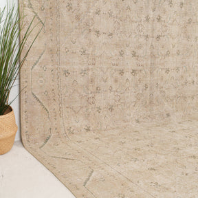 Beige and Green Area Wool Rug