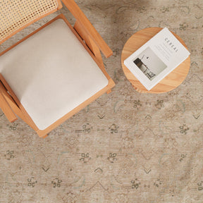 Antiquewashed Beige Area Rug