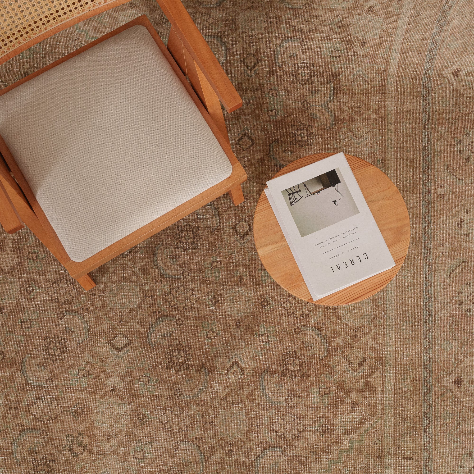 Antiquewashed Brown Area Rug