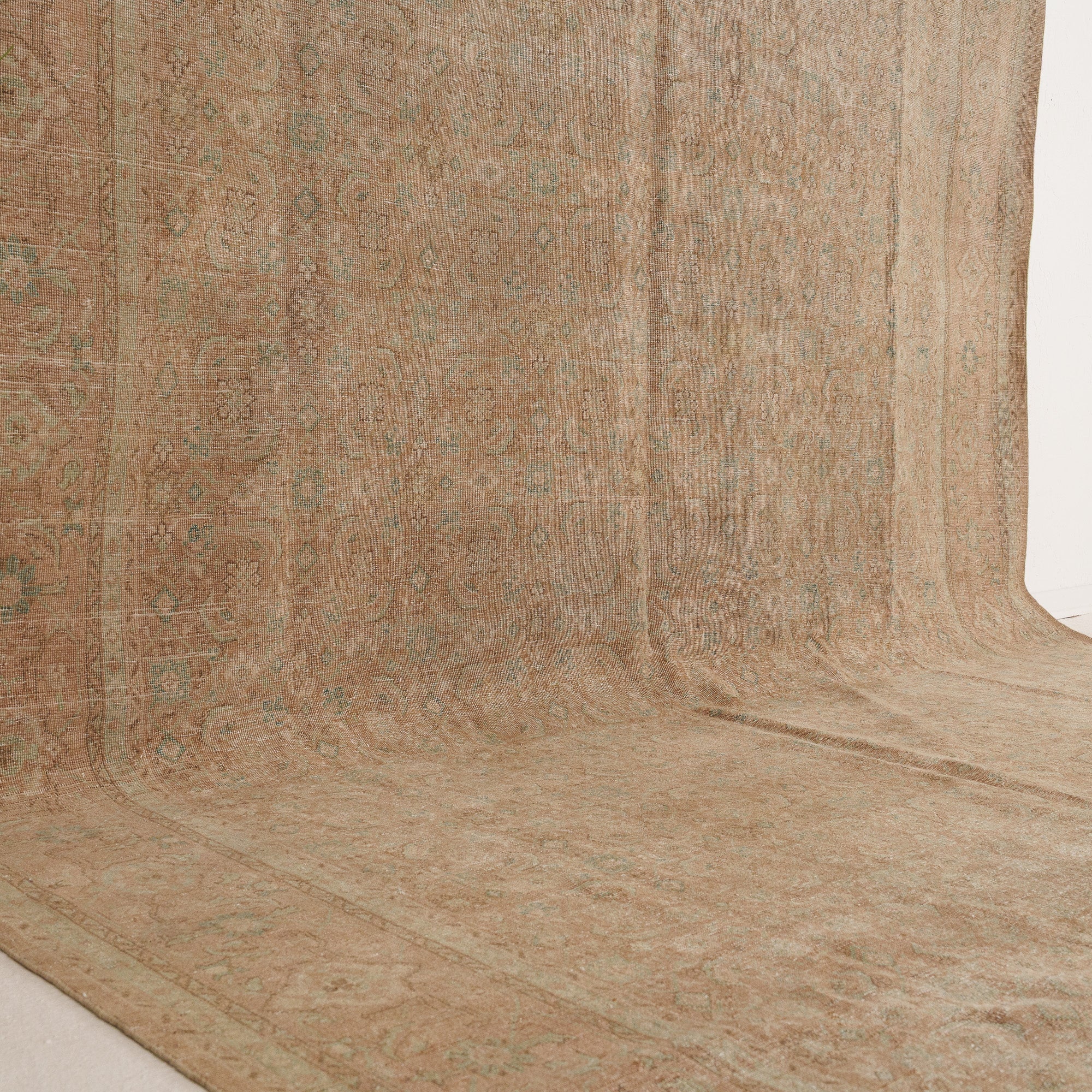 Beige and Blue Area Wool Rug
