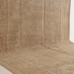 Beige and Blue Area Wool Rug