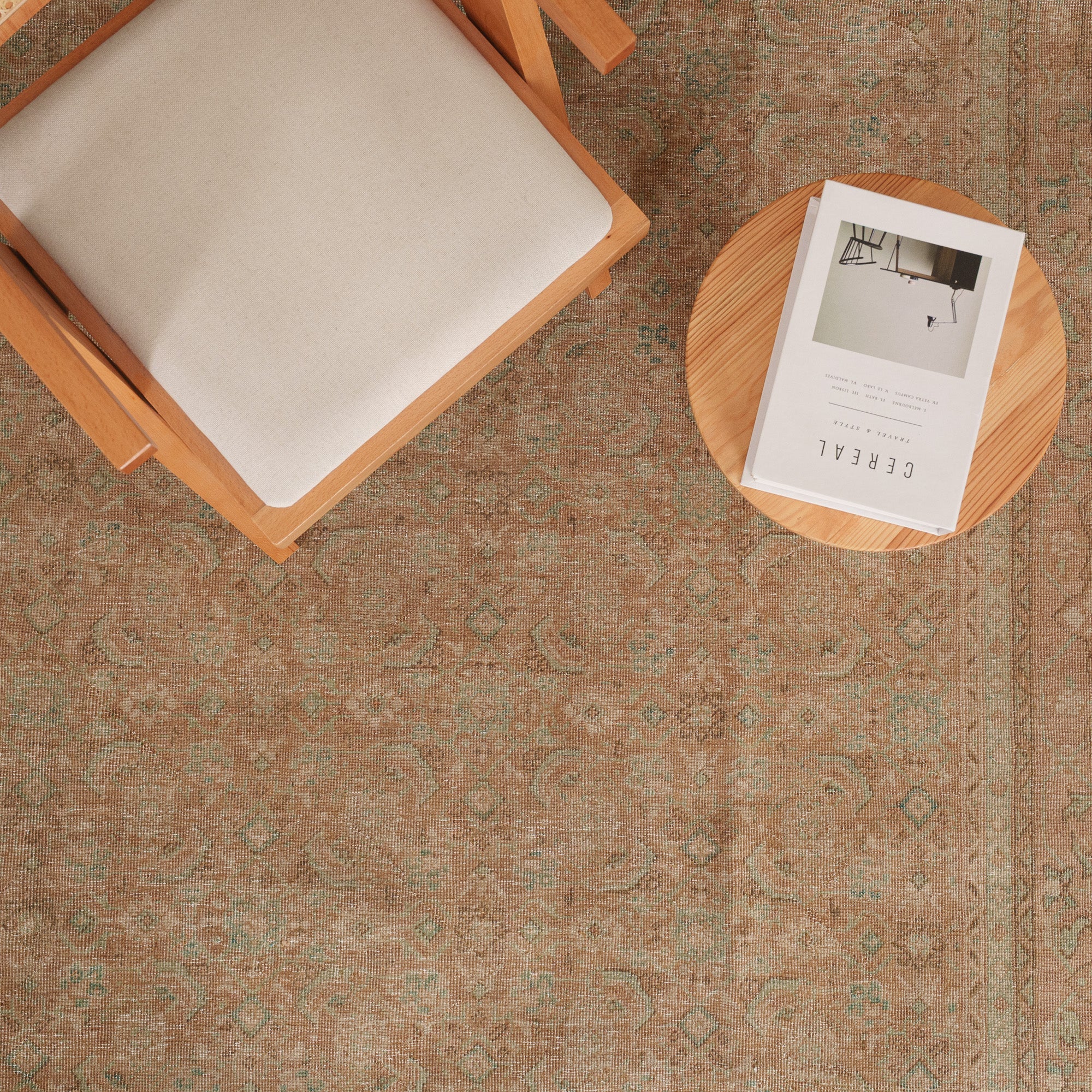 Antiquewashed Beige Area Rug