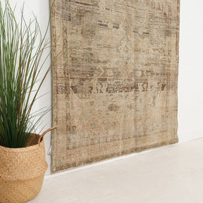 Beige and Brown Area Wool Rug