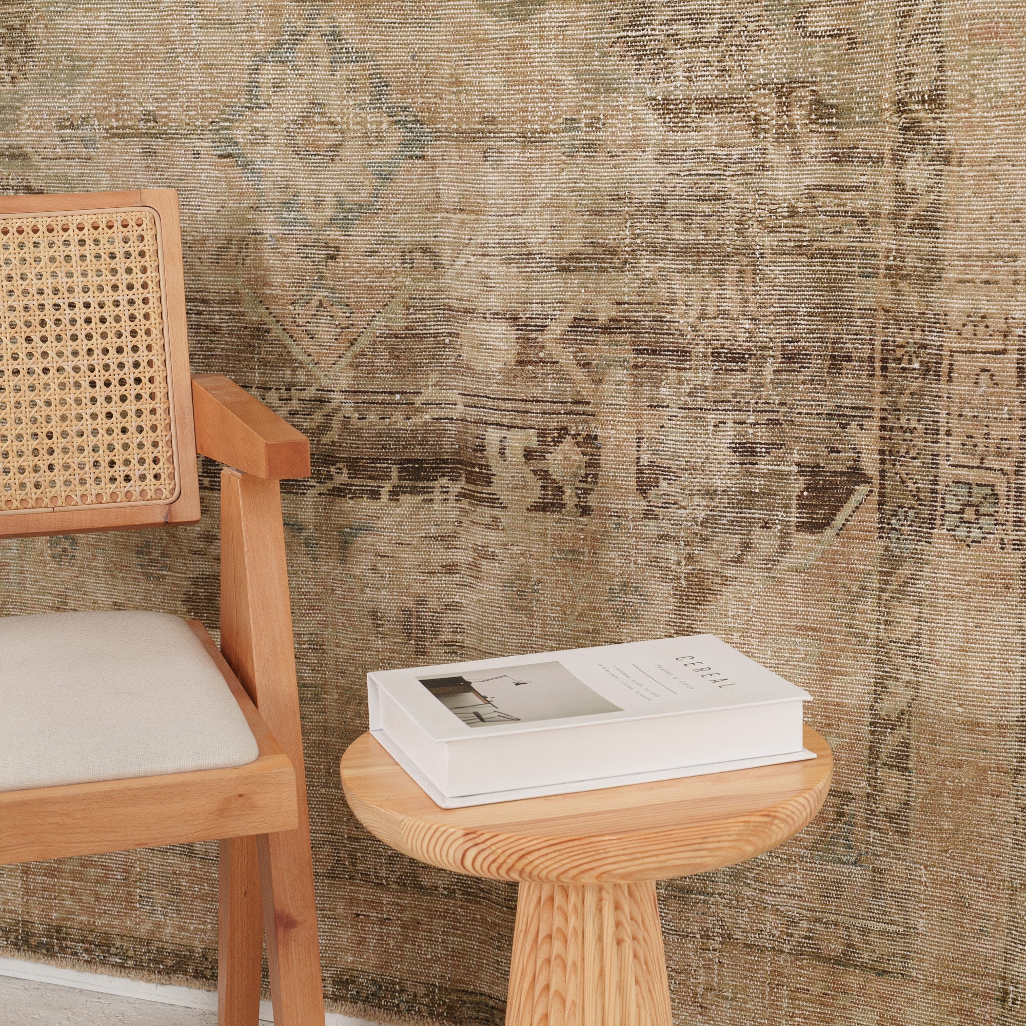 Antiquewashed Beige Area Rug