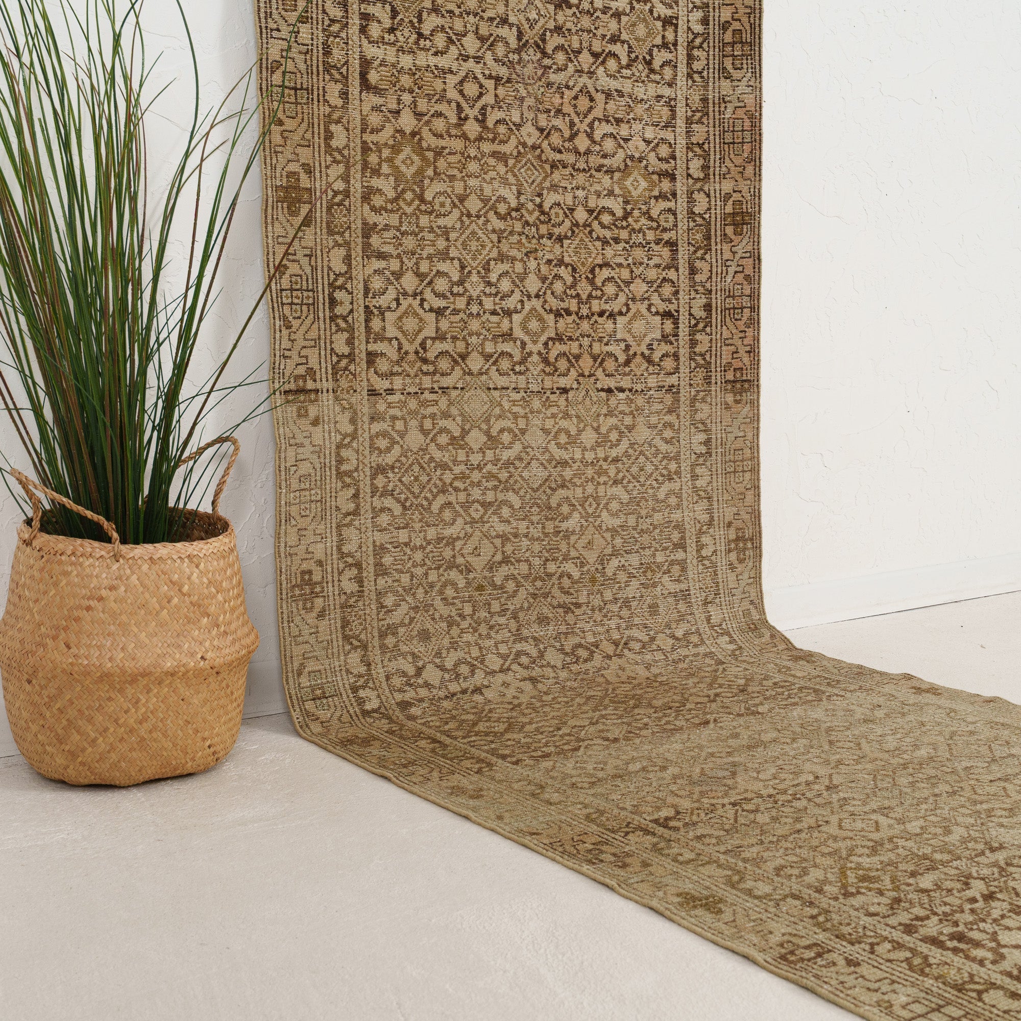 Beige and Brown Runner Wool Rug