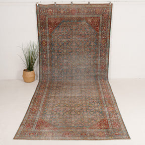 Blandoria - Vintage Persian Area Rug