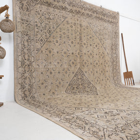 Beige and Brown Area Wool Rug