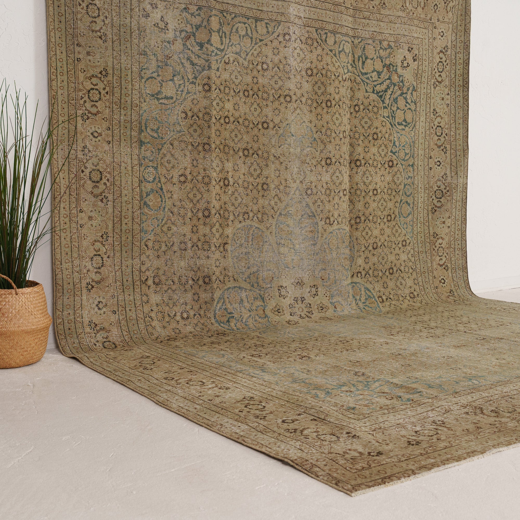Beige and Blue Area Wool Rug