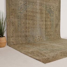 Beige and Blue Area Wool Rug