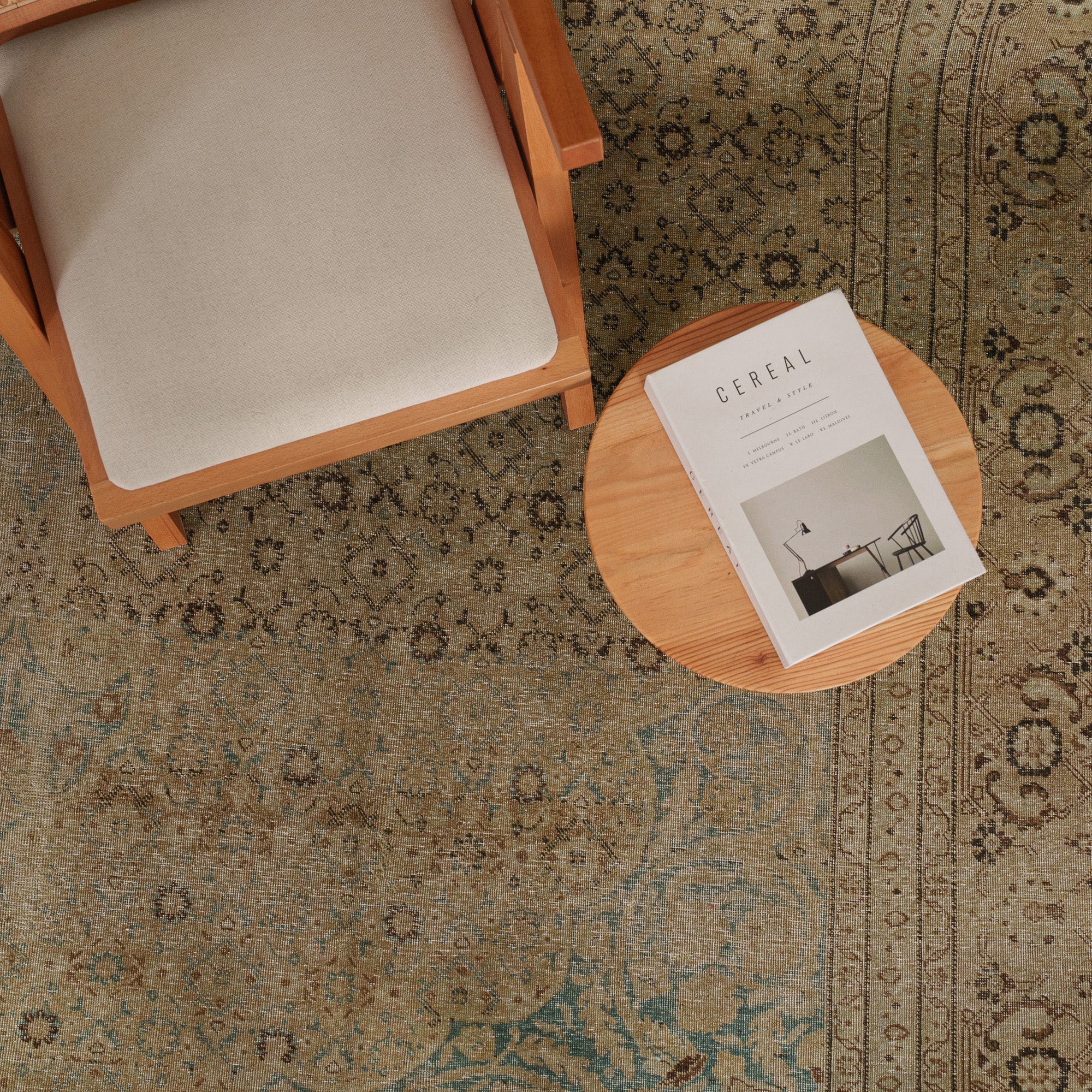 Antiquewashed Beige Area Rug