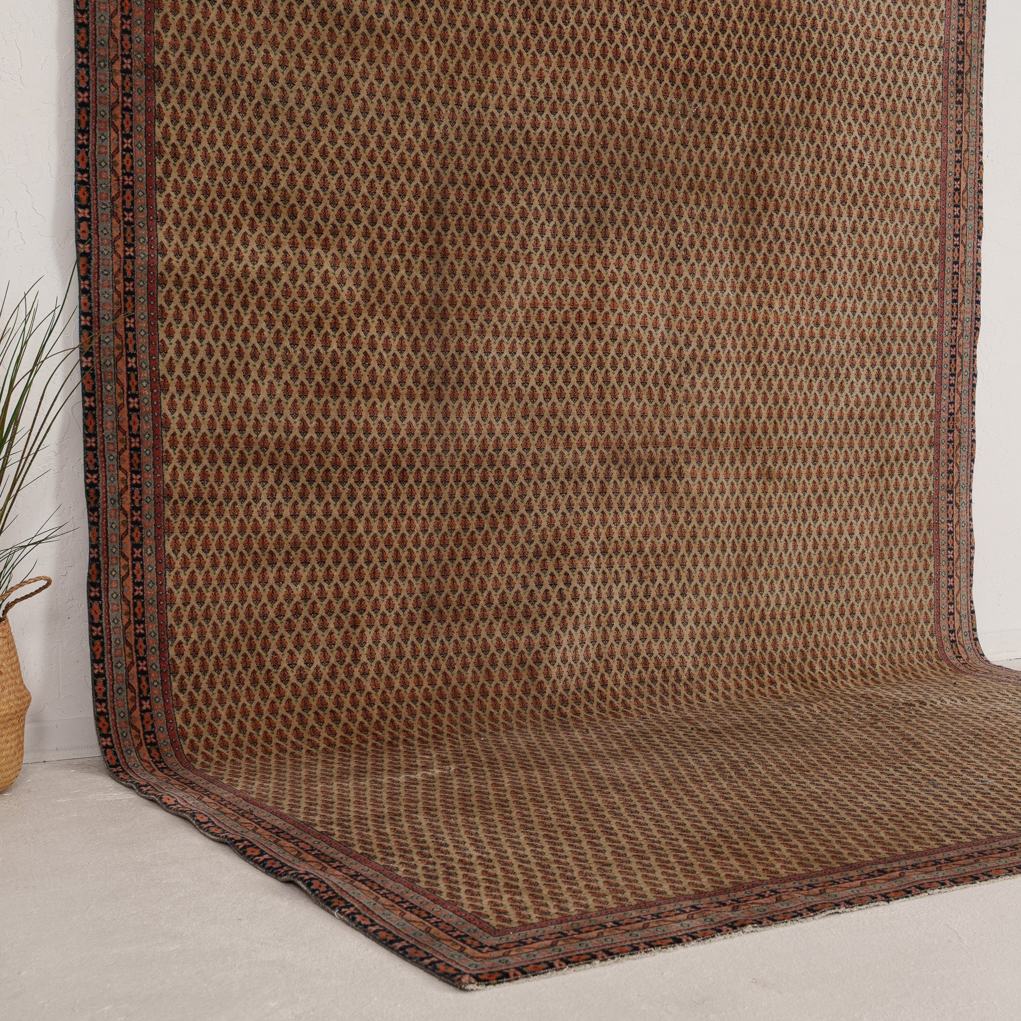 Beige and Red Area Wool Rug