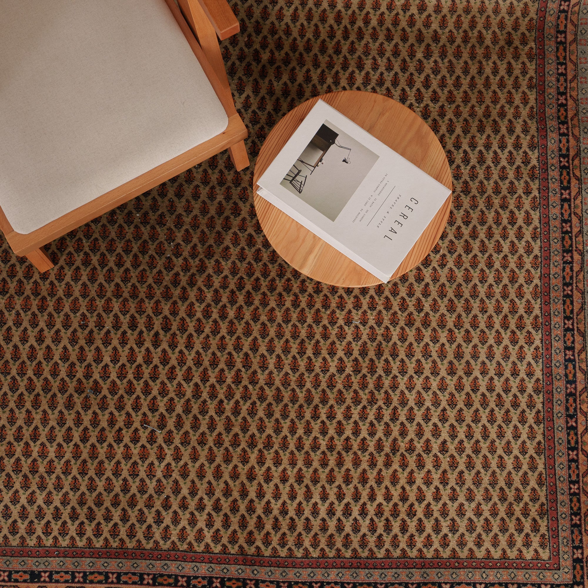 Antiquewashed Beige Area Rug