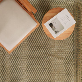 Antiquewashed Beige Area Rug