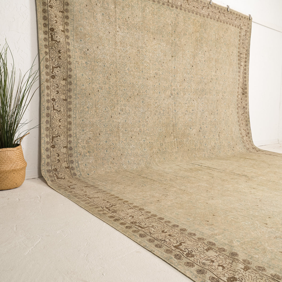 Beige and Green Area Wool Rug