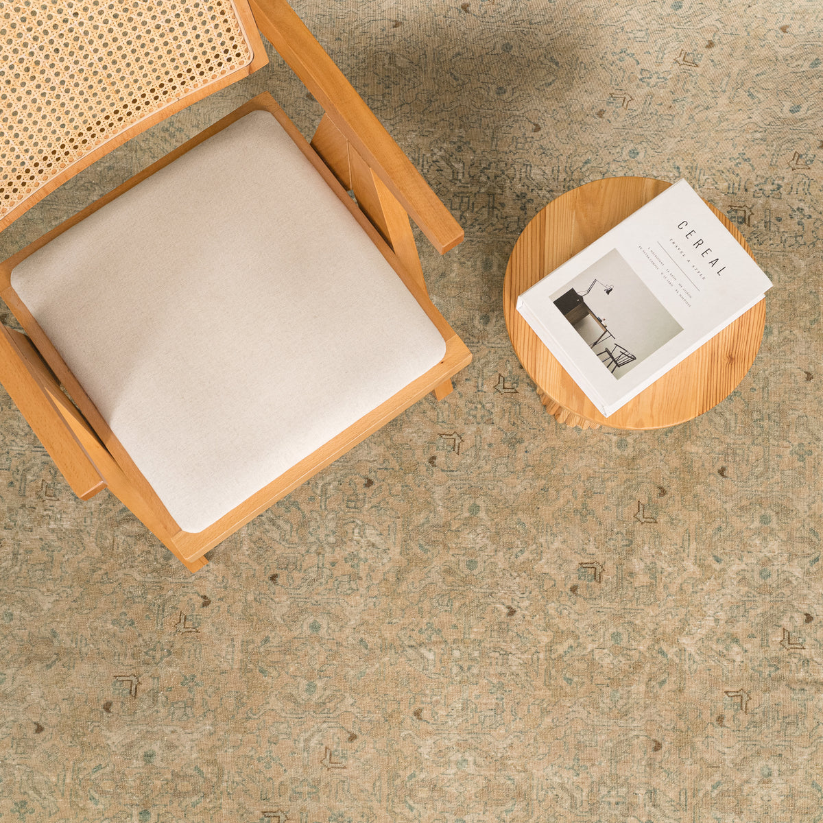 Antiquewashed Beige Area Rug