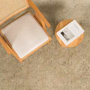 Antiquewashed Beige Area Rug