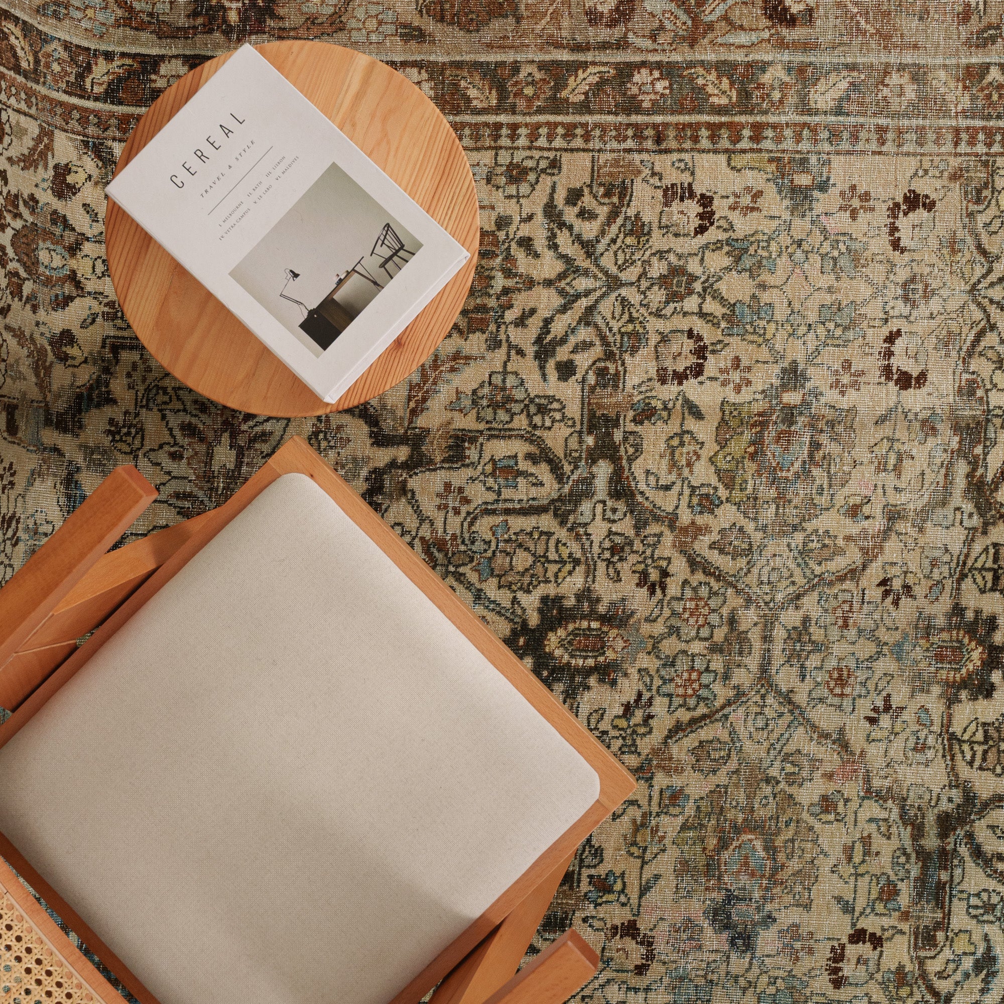 Antiquewashed Beige Area Rug
