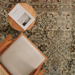 Antiquewashed Beige Area Rug