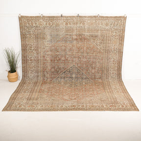 Calistisa - Vintage Persian Area Rug