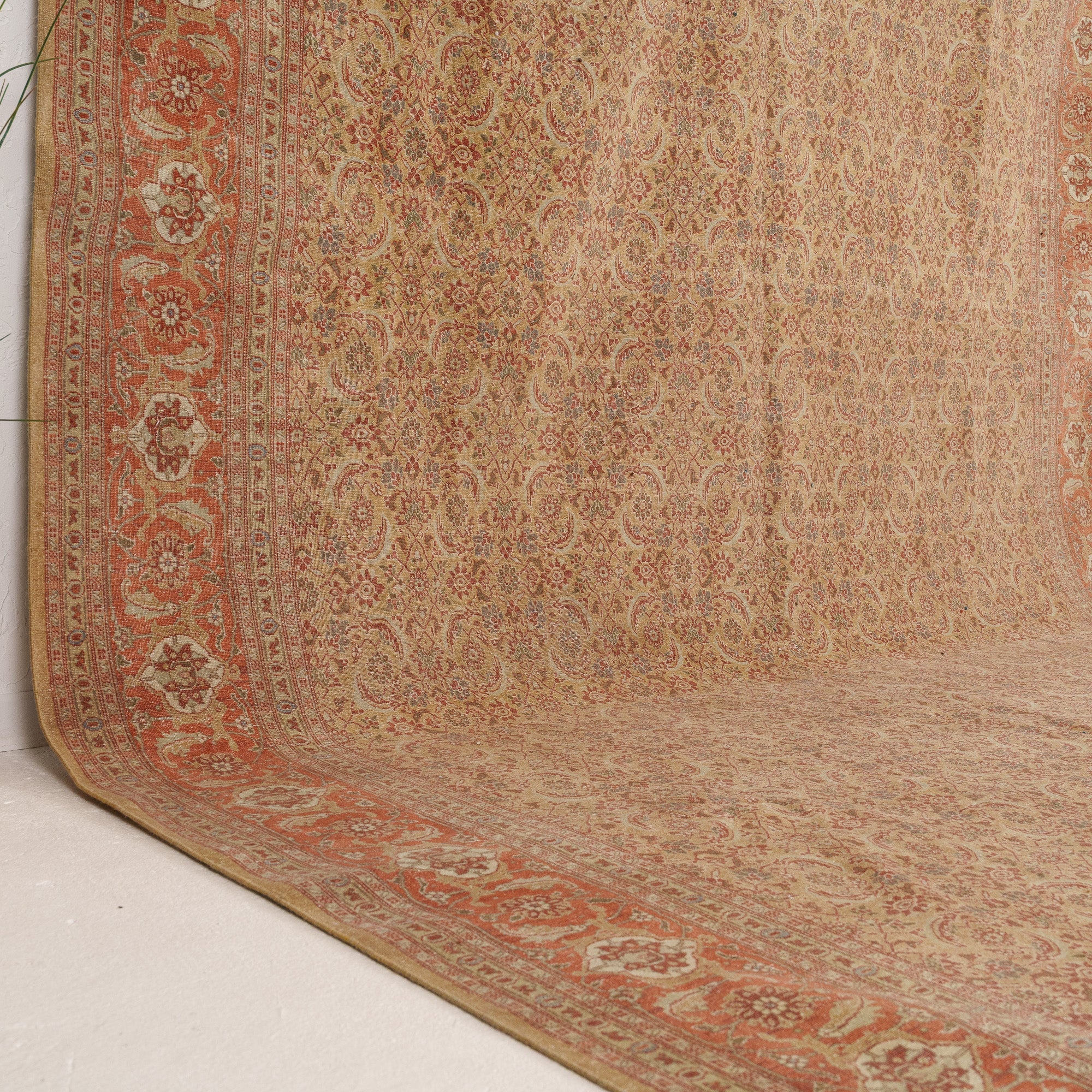 Beige and Red Area Wool Rug