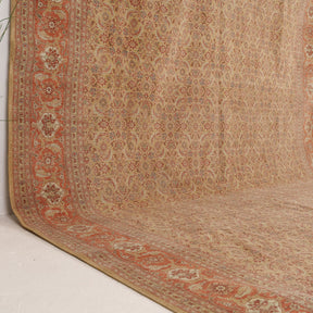 Beige and Red Area Wool Rug