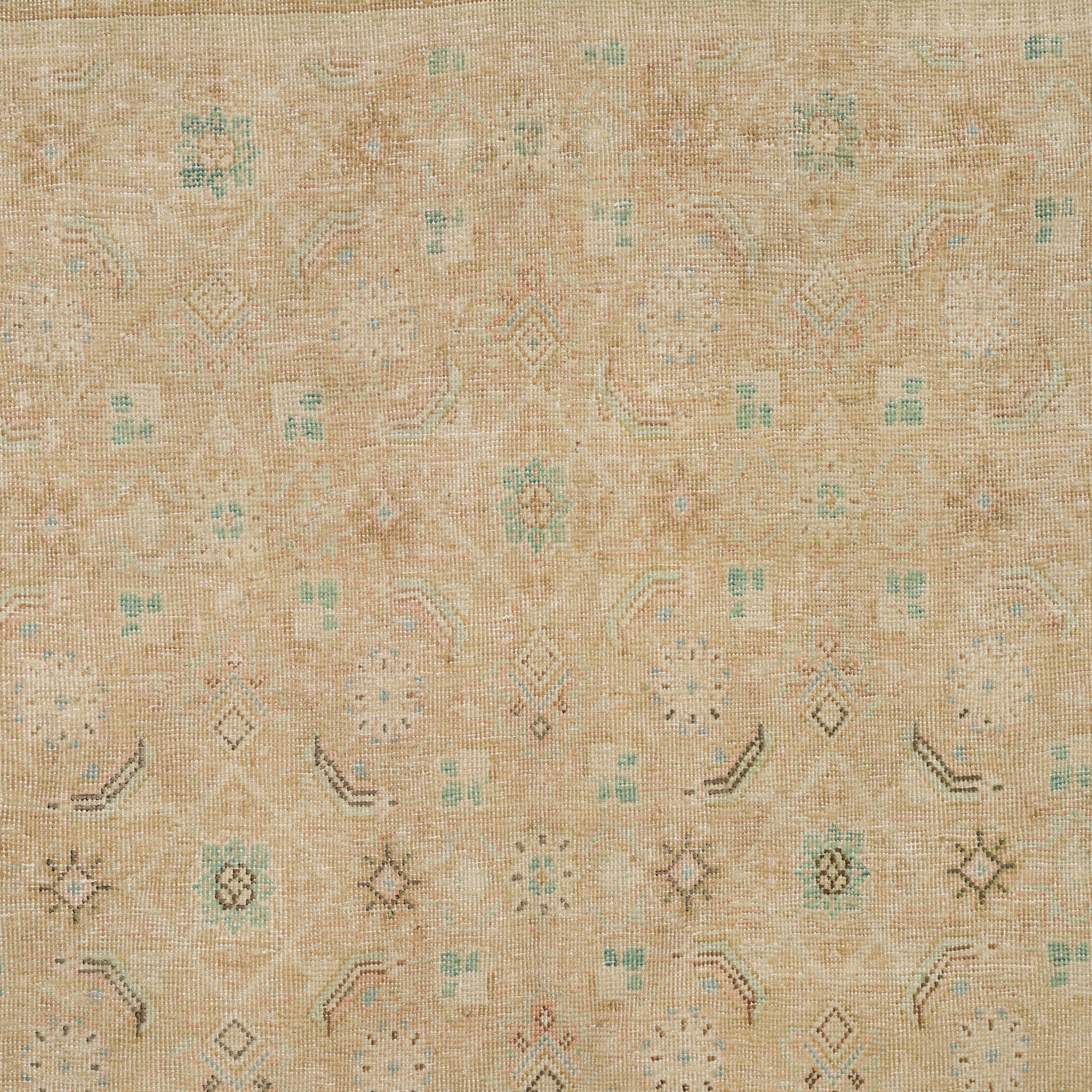Ilavorya - Vintage Persian Area Rug