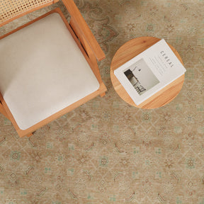 Ilavorya - Vintage Persian Area Rug