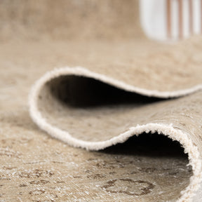 Antiquewashed Beige Area Rug
