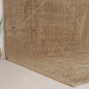 Beige and Brlue Area Wool Rug