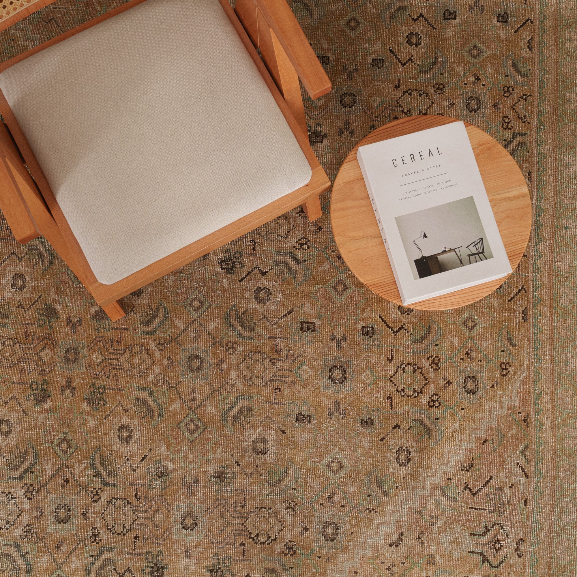 Antiquewashed Beige Area Rug