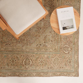 Antiquewashed Beige Area Rug