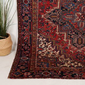 7x9 Persian Rug