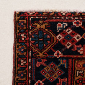 Medallion 7x9 Area Rug