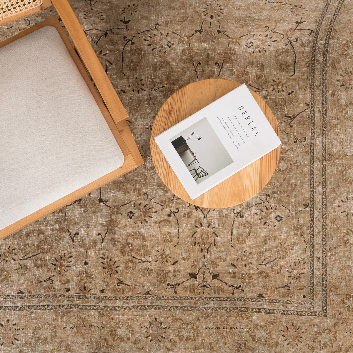 Antiquewashed Beige Area Rug