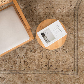 Antiquewashed Beige Area Rug