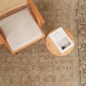 Antiquewashed Beige Area Rug