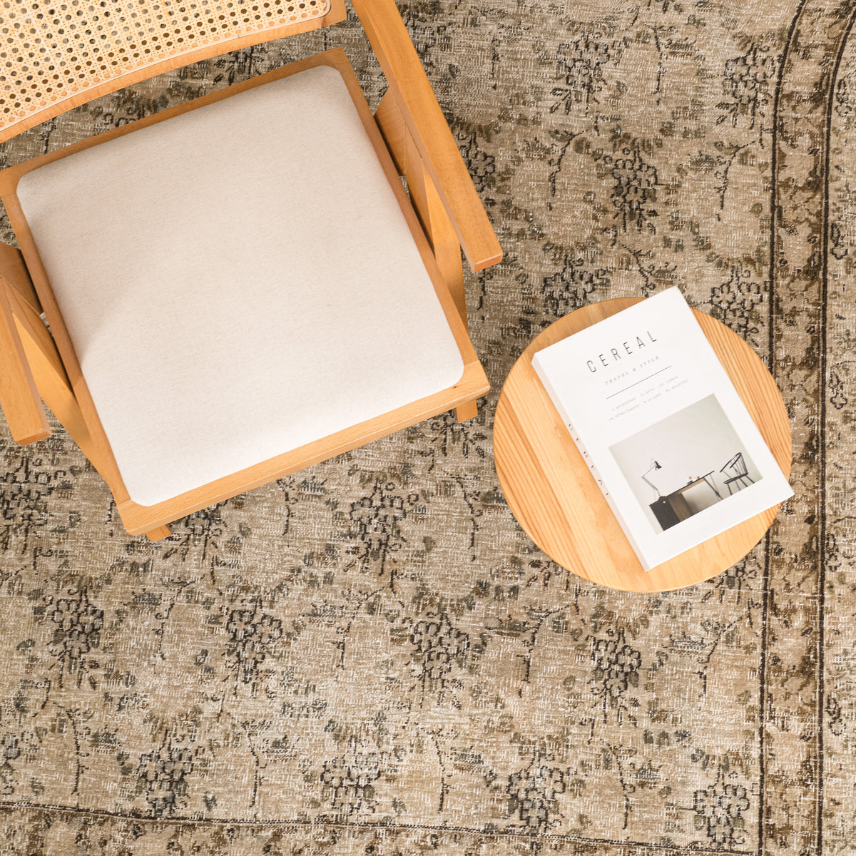 Antiquewashed Beige Area Rug