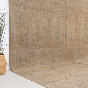 Beige and Brown Area Wool Rug