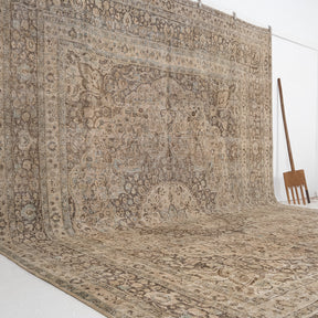Beige and Brown Area Wool Rug