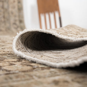 Antiquewashed Beige Area Rug