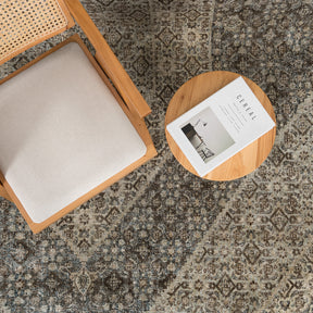 Antiquewashed Brown Area Rug