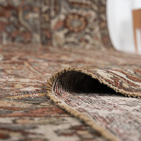Antiquewashed Red Area Rug